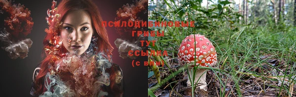 герыч Белокуриха