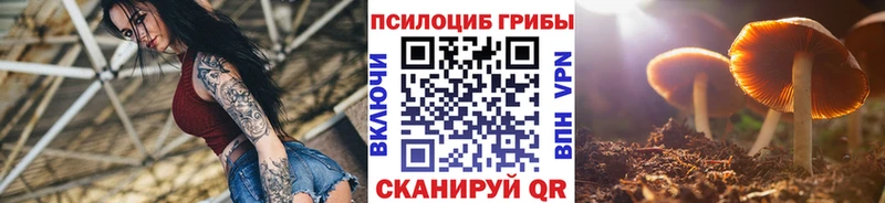 Псилоцибиновые грибы мицелий  Калининец 